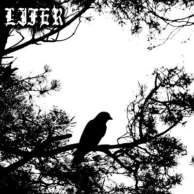 Lifer - Lifer